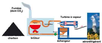 charbon_biomasse