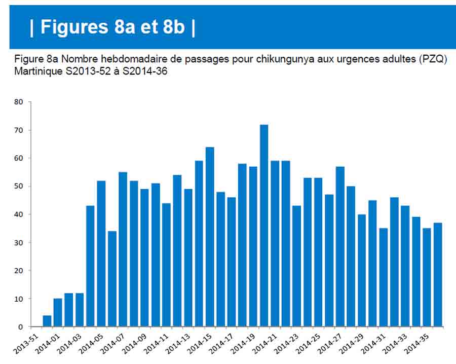 chic-fig-8a