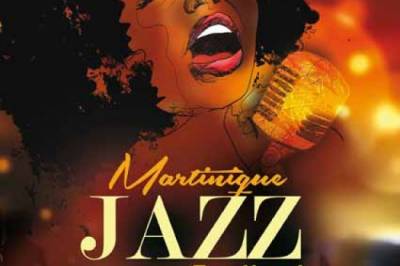 martinique-jazz-festival-2014-6kvr