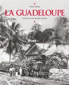 Pineau Guadeloupe