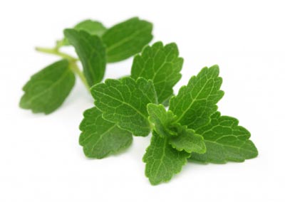 stevia